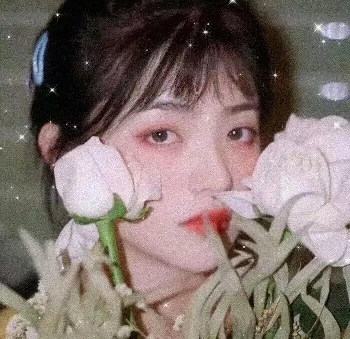 天之骄子